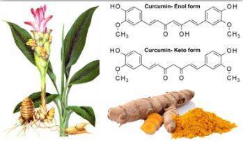 協和論文拾粹|北京協和醫院內分泌科肖新華教授等人Q1區文章 天然香料