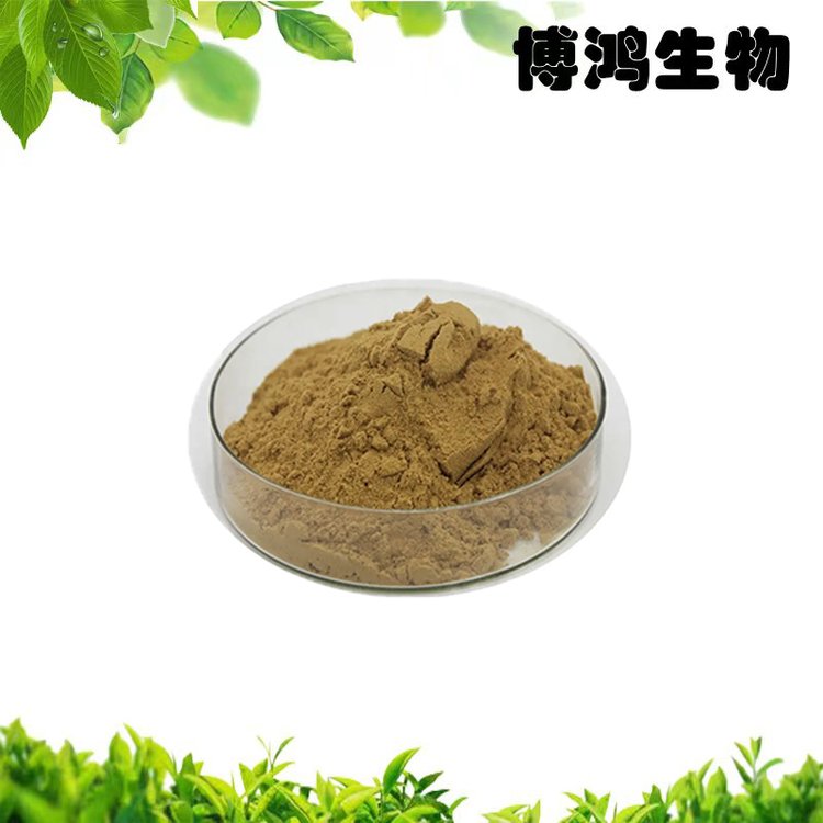 云芝提取物10:1 博鴻生物打造的高品質植物提取物標桿