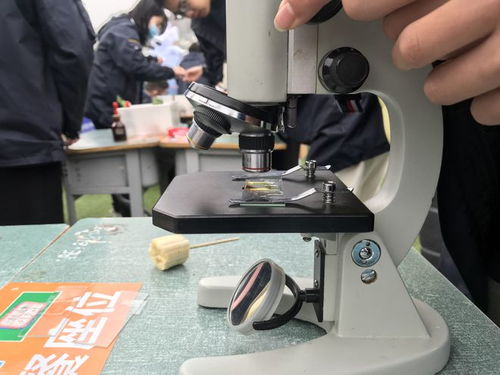 校園科技節(jié)腦力值拉滿，學(xué)生玩嗨了！教學(xué)模型與教具銷售迎來熱潮